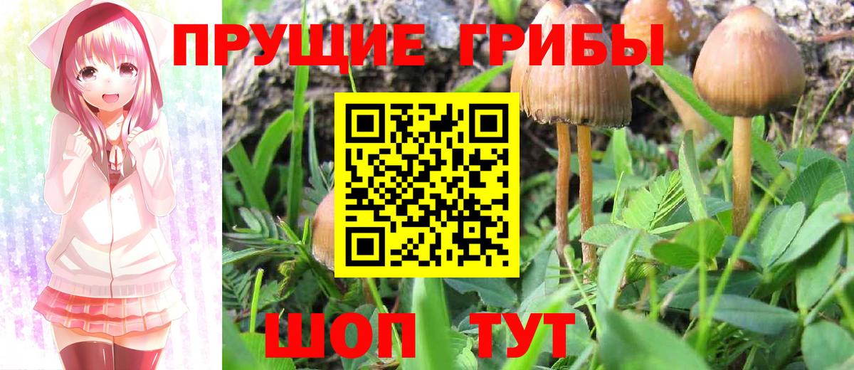 Галлюциногенные грибы MAGIC MUSHROOMS Рославль